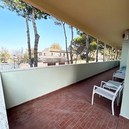 Large Close To The And Centre Apartment